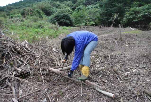 作業に専念する伊藤。間伐した樹木は材として活用される。写真:伊藤 智子