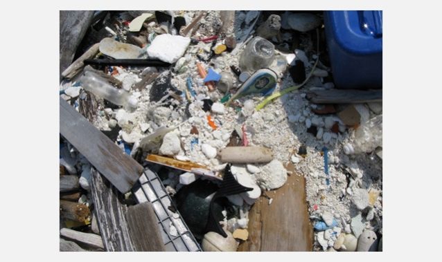 丈夫で長持ちするプラスチックも粉々に。写真:一般社団法人JEAN
