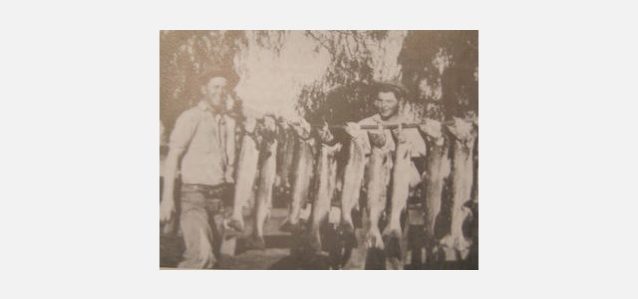 1920年代の黄金時代、ベンチュラ・リバーから大量のスチールヘッドを釣り上げるペイラノ兄弟