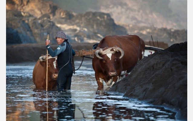 カニ漁師。コブケクラの町近辺、チリ Photo: © Jeff Johnson