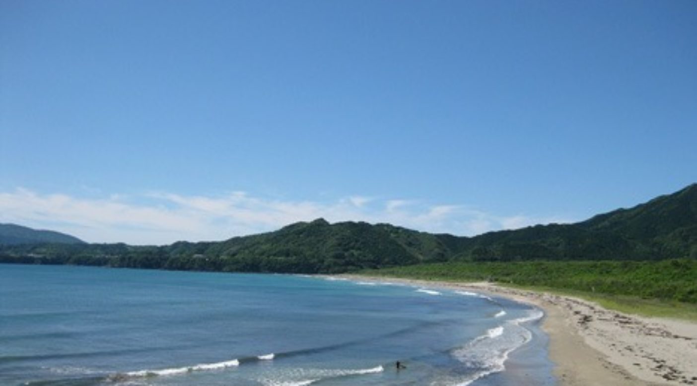 高知の静かな浜辺を歩かせてもらいました。