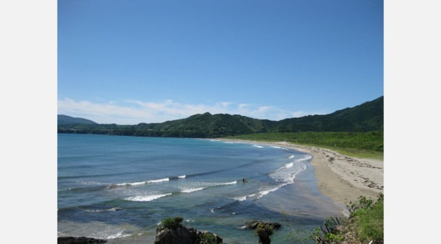 高知の静かな浜辺を歩かせてもらいました。