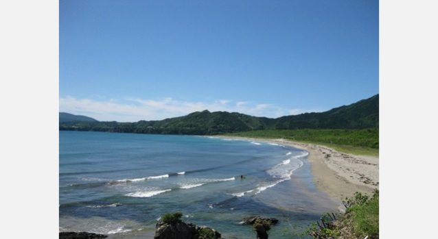 高知の静かな浜辺を歩かせてもらいました。