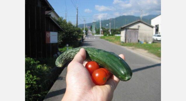 甘い野菜。農家の方からは決まって旬のものをいただきました。愛媛