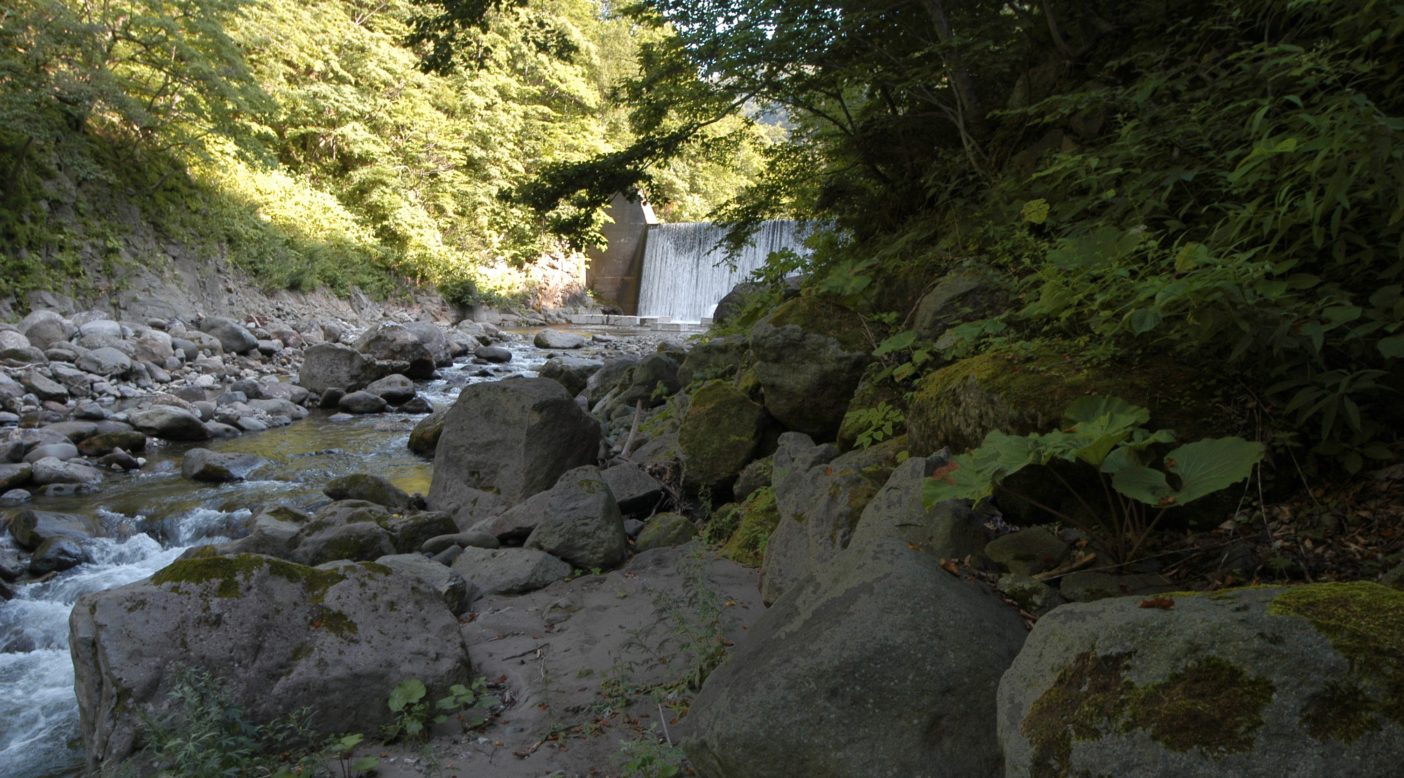 川に転がっているごくごくありふれた石が川の水を命を育む流れに変える クリーネストライン