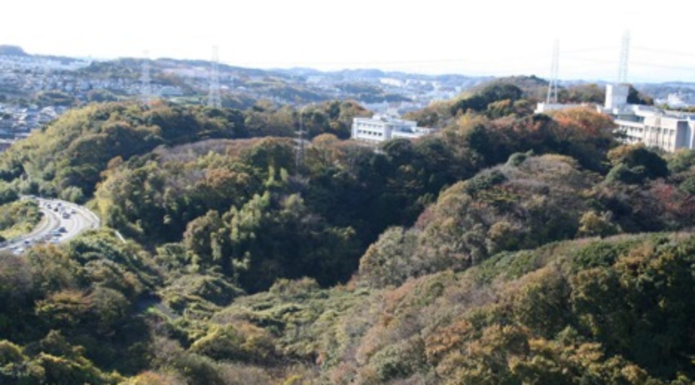 瀬上沢西の森。里山が削られ、谷戸が埋められて、商業施設や宅地となる。写真:角田 東一