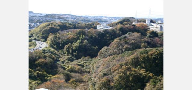 瀬上沢西の森。里山が削られ、谷戸が埋められて、商業施設や宅地となる。写真:角田 東一