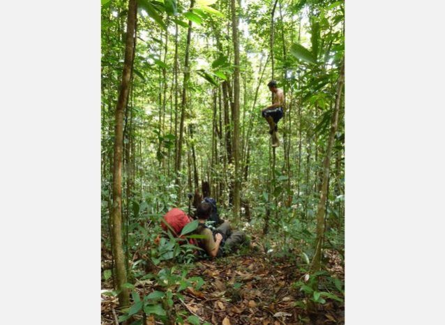 野生の豚の攻撃を免れる最善策。Photo: Xpedition.be