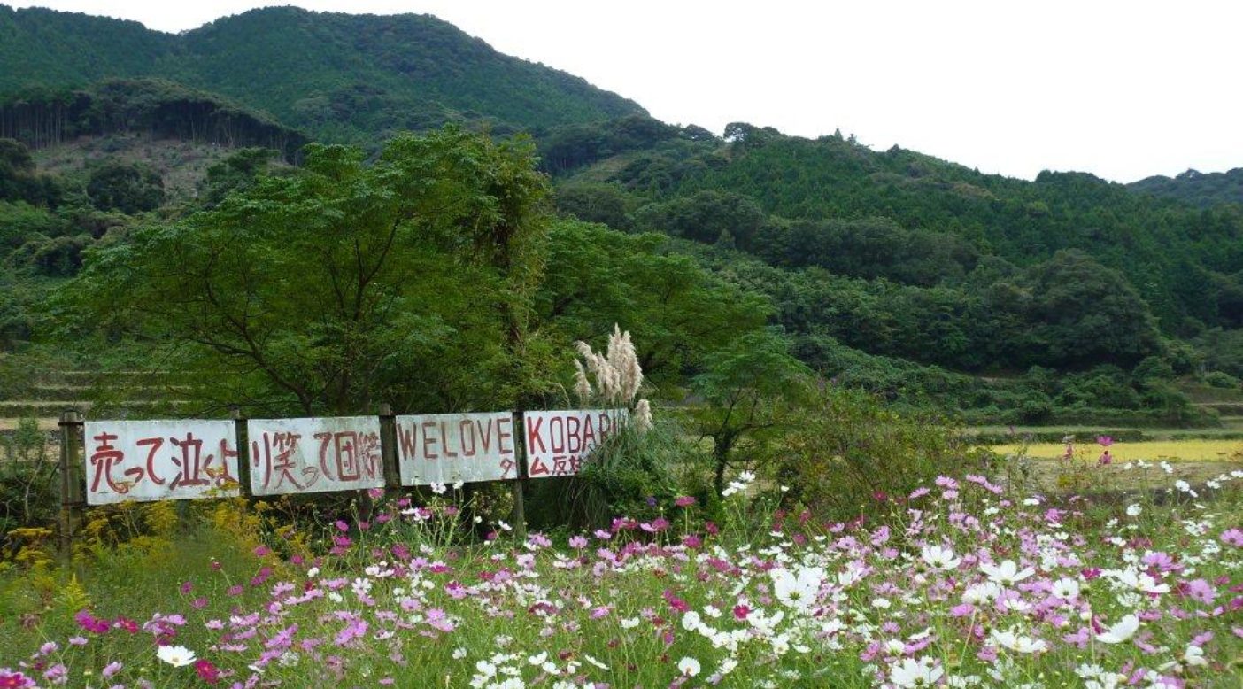 川原のコスモスと看板(売って泣くより笑って団結 WE LOVE KOBARU 写真:松本美智恵