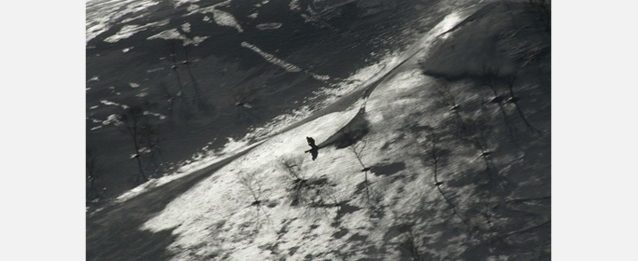 skier: Masayuki Akiba キャプチャー:『icon 7』より
