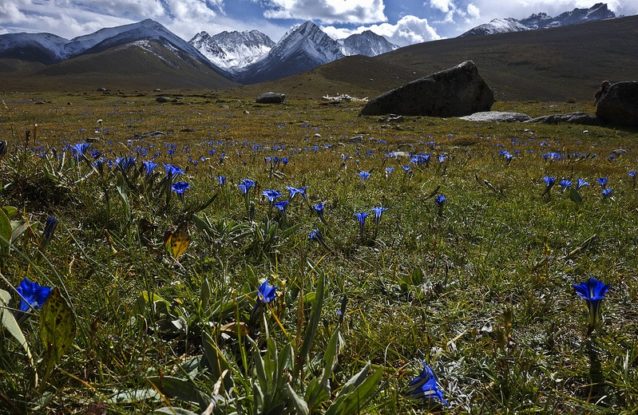 ロング トレックス In 中国 西寧から成都まで スケートボードでチベットを駆け抜ける クリーネストライン