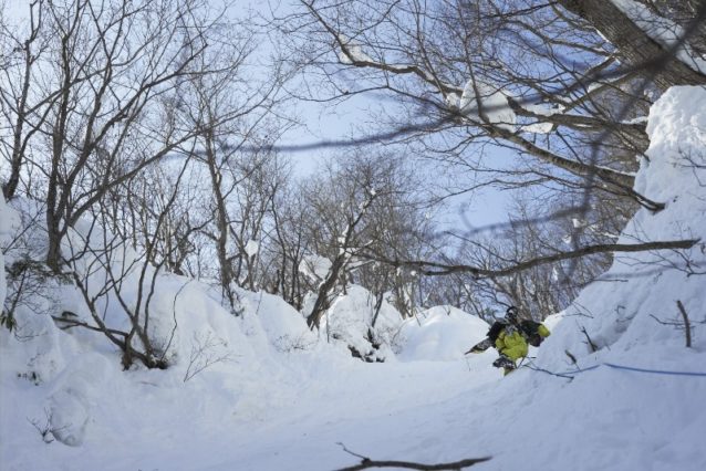 写真:松尾憲二郎