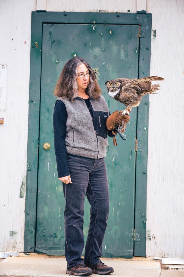 キム・ストラウドと3歳のアメリカワシミミズクのニュートン。Photo: Tim Davis