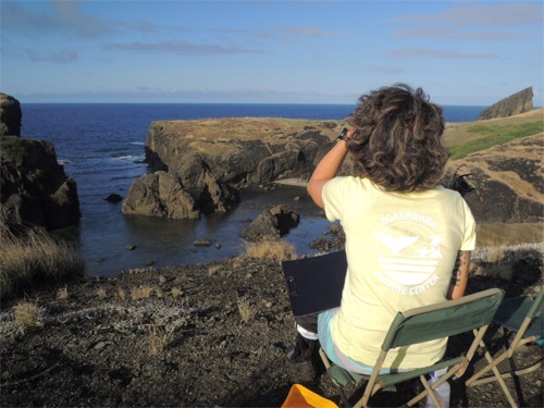 アルバトロス アドベンチャー クリーネストライン