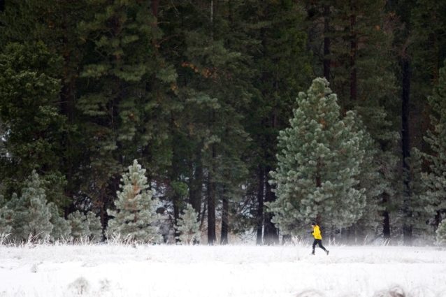 Photo: Jeff Johnson