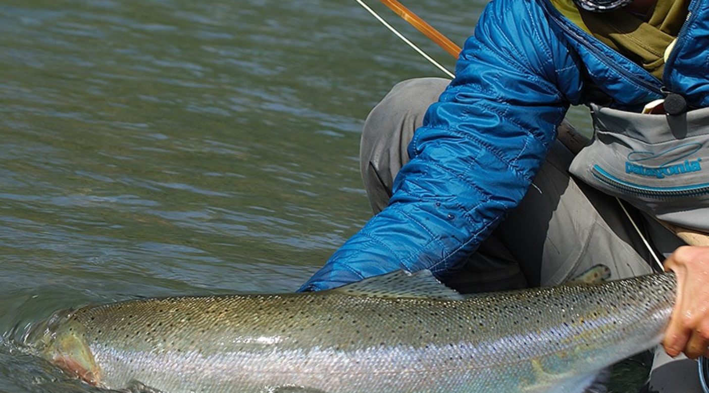 ザ リリース 魚に対する基礎知識と責任ある釣りへの道 クリーネストライン ザ リリース 魚に対する基礎知識と責任ある釣りへの道 クリーネストライン