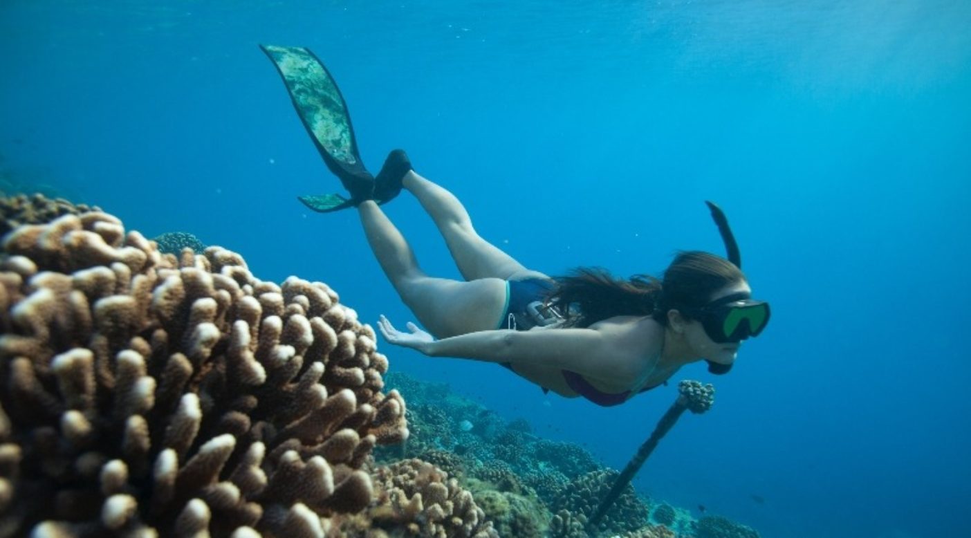 フレンチポリネシアの珊瑚礁を探検するキミ。Photo: Jody MacDonald
