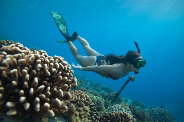 フレンチポリネシアの珊瑚礁を探検するキミ。Photo: Jody MacDonald
