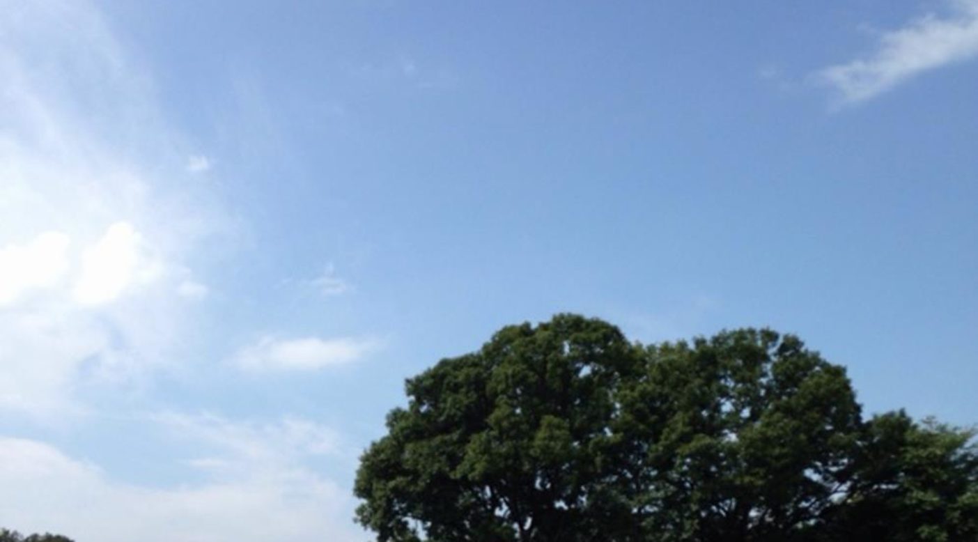 夏の虫取り。子供たちがのびのびできる自然がここ三つ又沼ビオトープには残っています。写真:松並三男