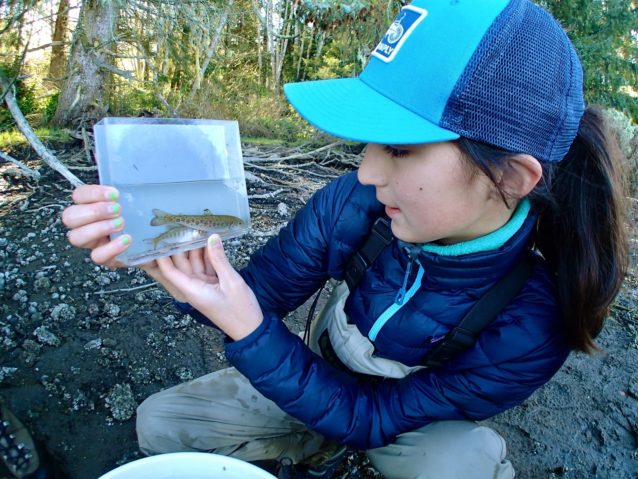 ギンザケとノドキリマスを観察するジュニア海洋生物学者のスカイラ。Photo: Dylan Tomine