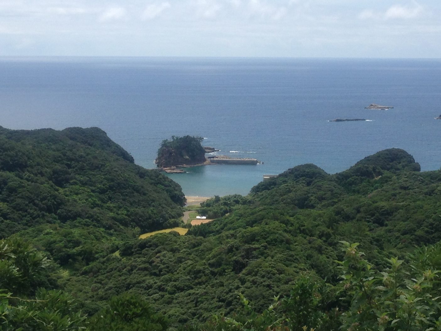 Photo: Kanako Uchino