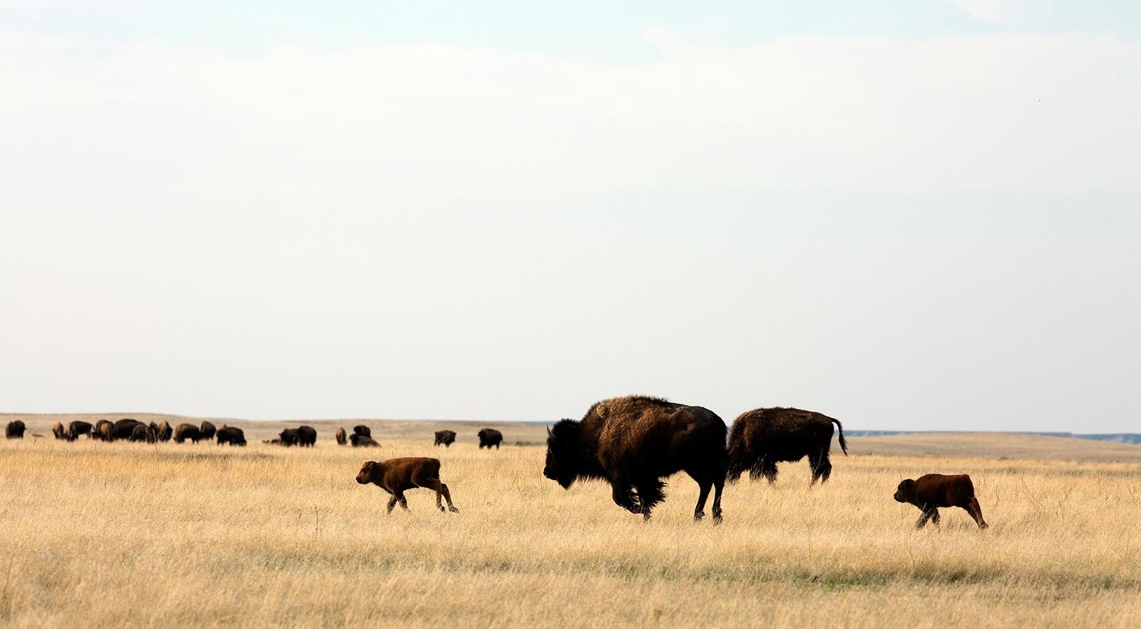 ティンシェッド・ベンチャーズ：次世代の責任あるビジネスへの投資 クリーネストライン