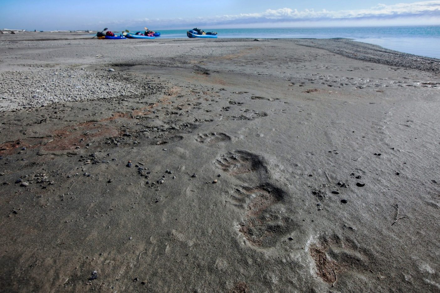 アイシー・リーフに残されたホッキョクグマの足跡。北極海のボーホート海からコンガクット川の終点を守ると同時に文明社会へ戻る着陸場所の役割を果たした砂利地。Photo: Nathaniel Wilder