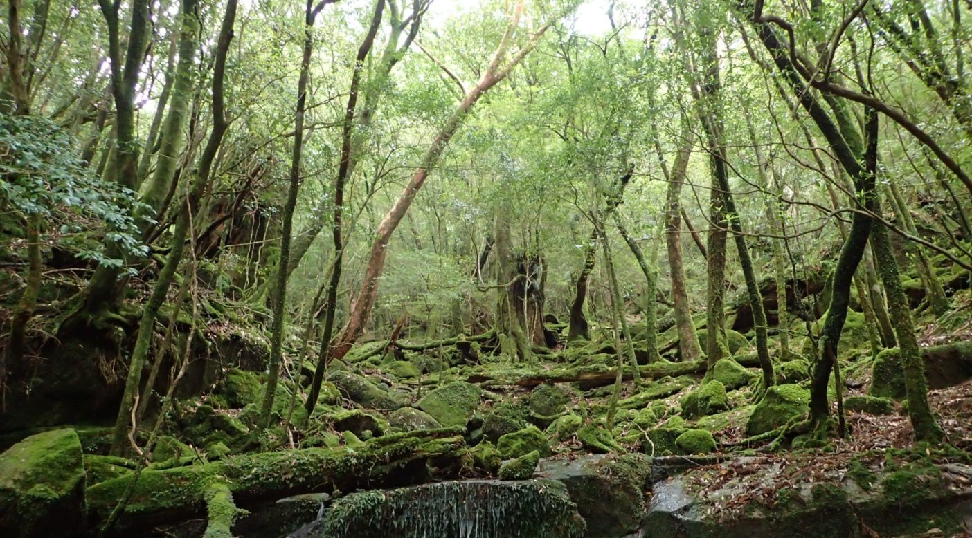 いたるところから水があふれてくる。写真:大野睦