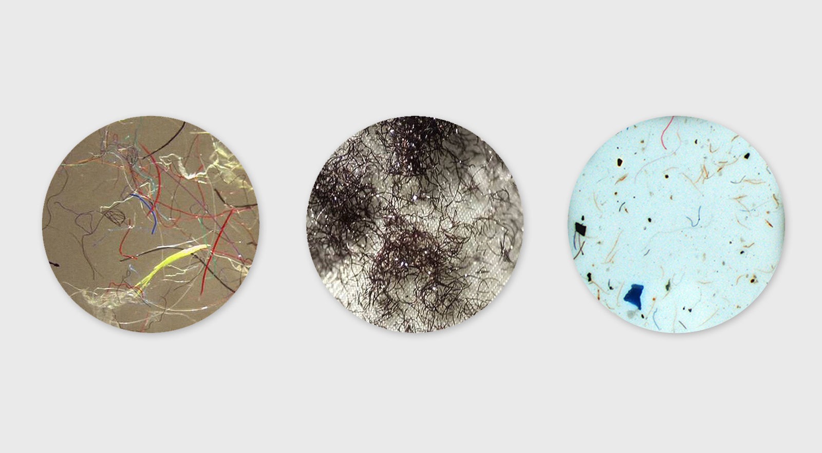 マイクロファイバー汚染について私たちができること クリーネストライン