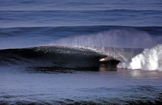 インサイドリーフ、ラ・メシタで早朝のセッション。Photo: Juan Fernandez, 2004
