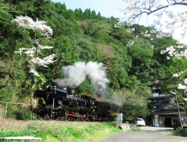 球磨川沿いを走るJR九州旅客鉄道の蒸気機関車、SL人吉。いまでは車窓からの景色に荒瀬ダムはない