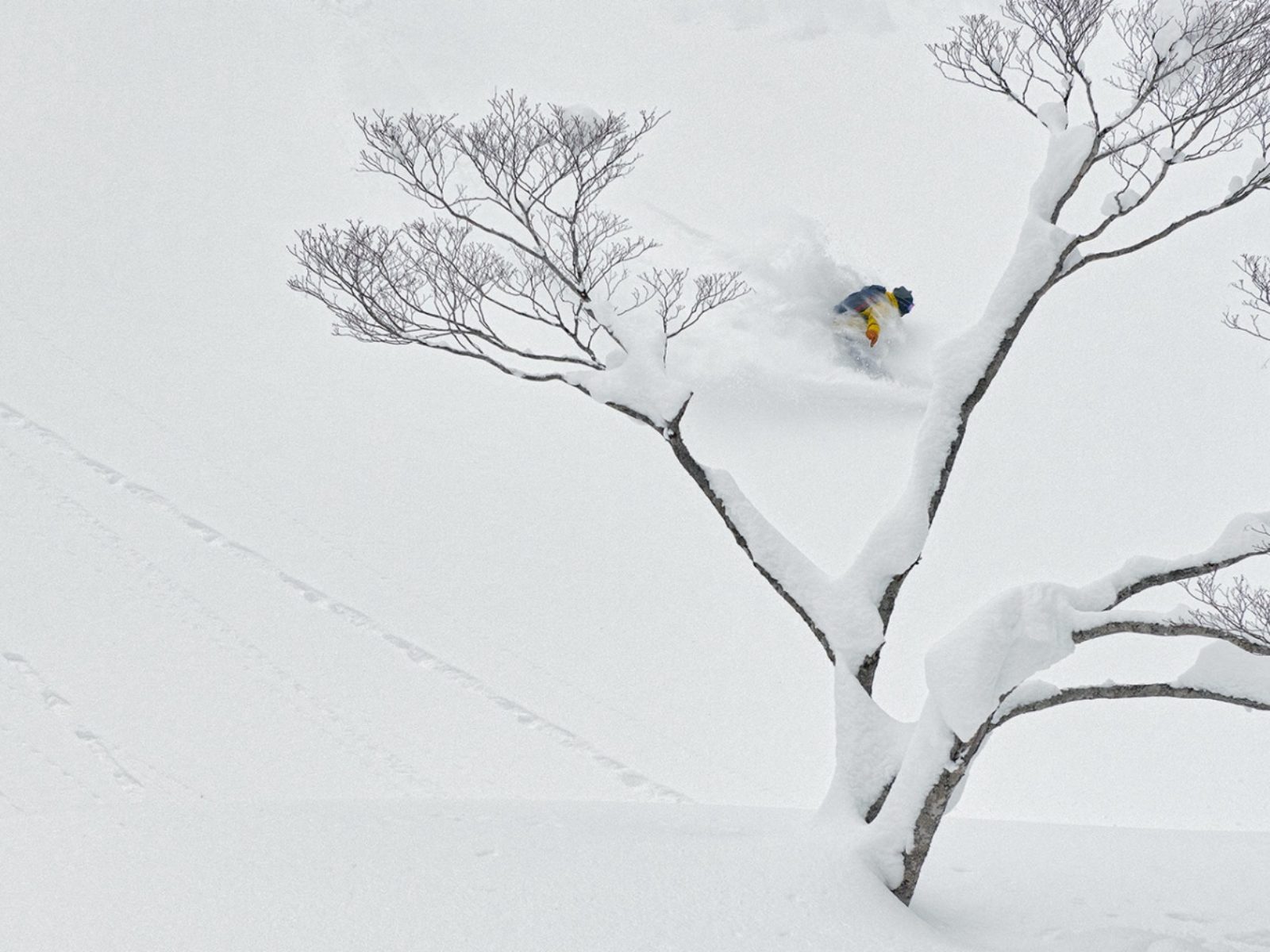 https://www.patagonia.jp/blog/wp-content/uploads/2019/02/nov18_grove_g_1150_cc_1500tcl-1-1404x936.jpg