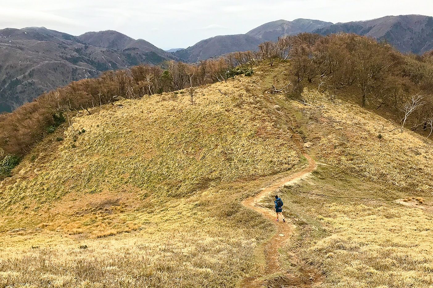 御在所岳に向け稜線を行く