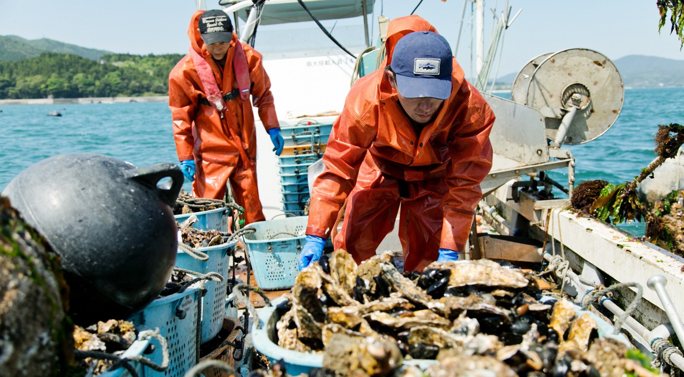 震災のその先に 海と生きる 南三陸のカキ漁師たち クリーネストライン 震災のその先に 海と生きる 南三陸のカキ漁師たち クリーネストライン