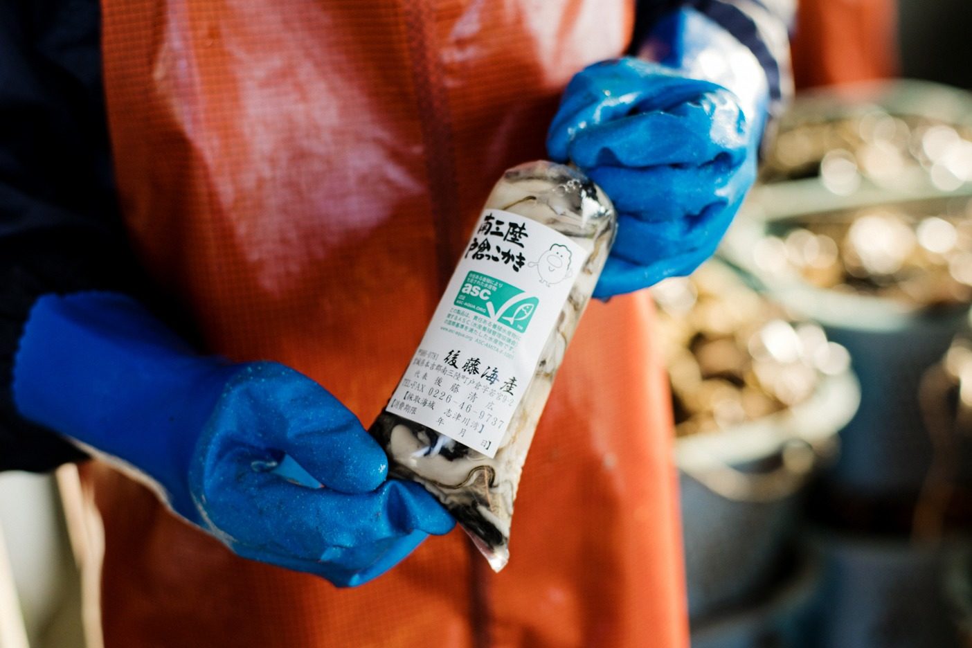 剥いたカキをASC認証のラベルをつけたパッケージに入れ、生食用として出荷する。写真:五十嵐 一晴