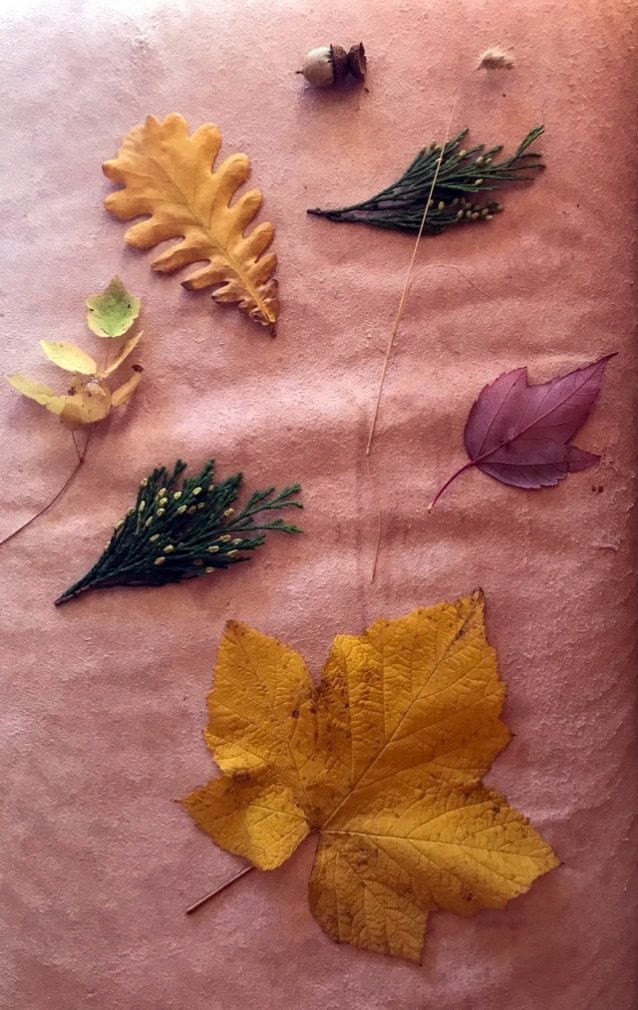 Photo: Lana Rasmussen