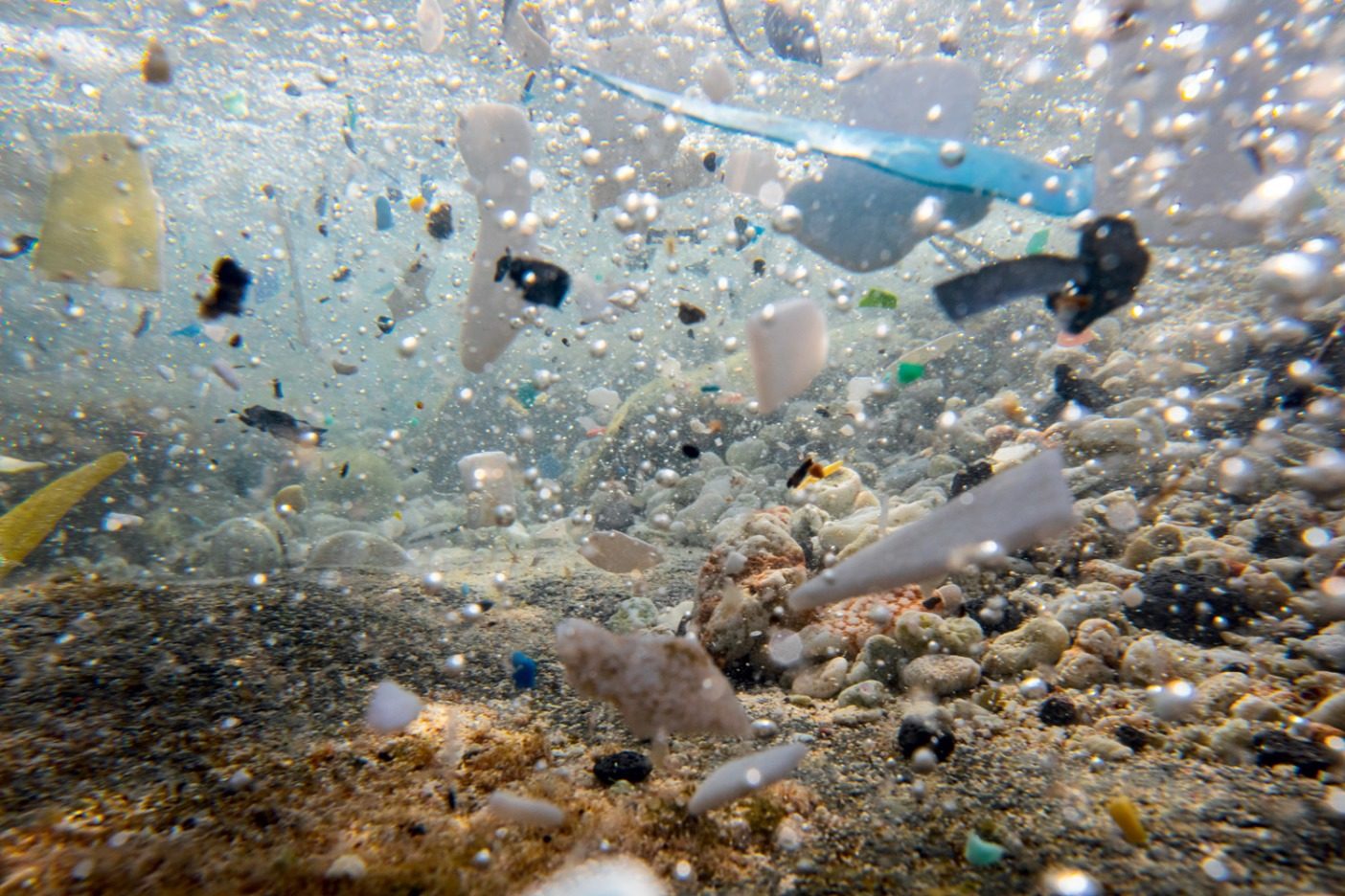 プラスチック 環境 問題 【環境問題】マイバッグだけじゃない。プラスチックごみ削減のために出来ること