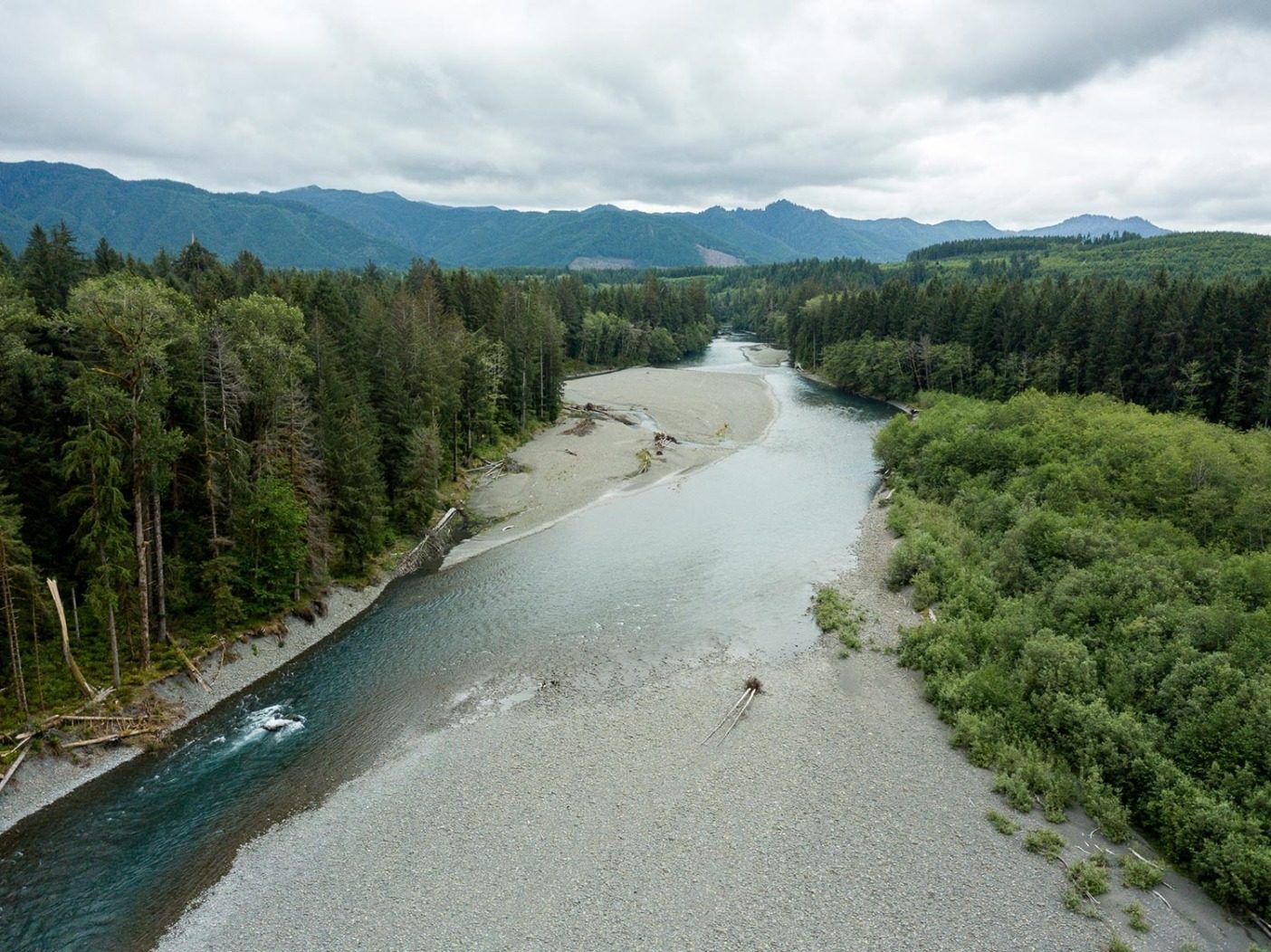 健康な川は気の向くままに流れ、川岸に水をみなぎらせ、流れを完全に変える。細く突き出た石の陸地は川を塞いでいるように見えるが、実際は水が移動するための空地である。Photo: Colin Wiseman