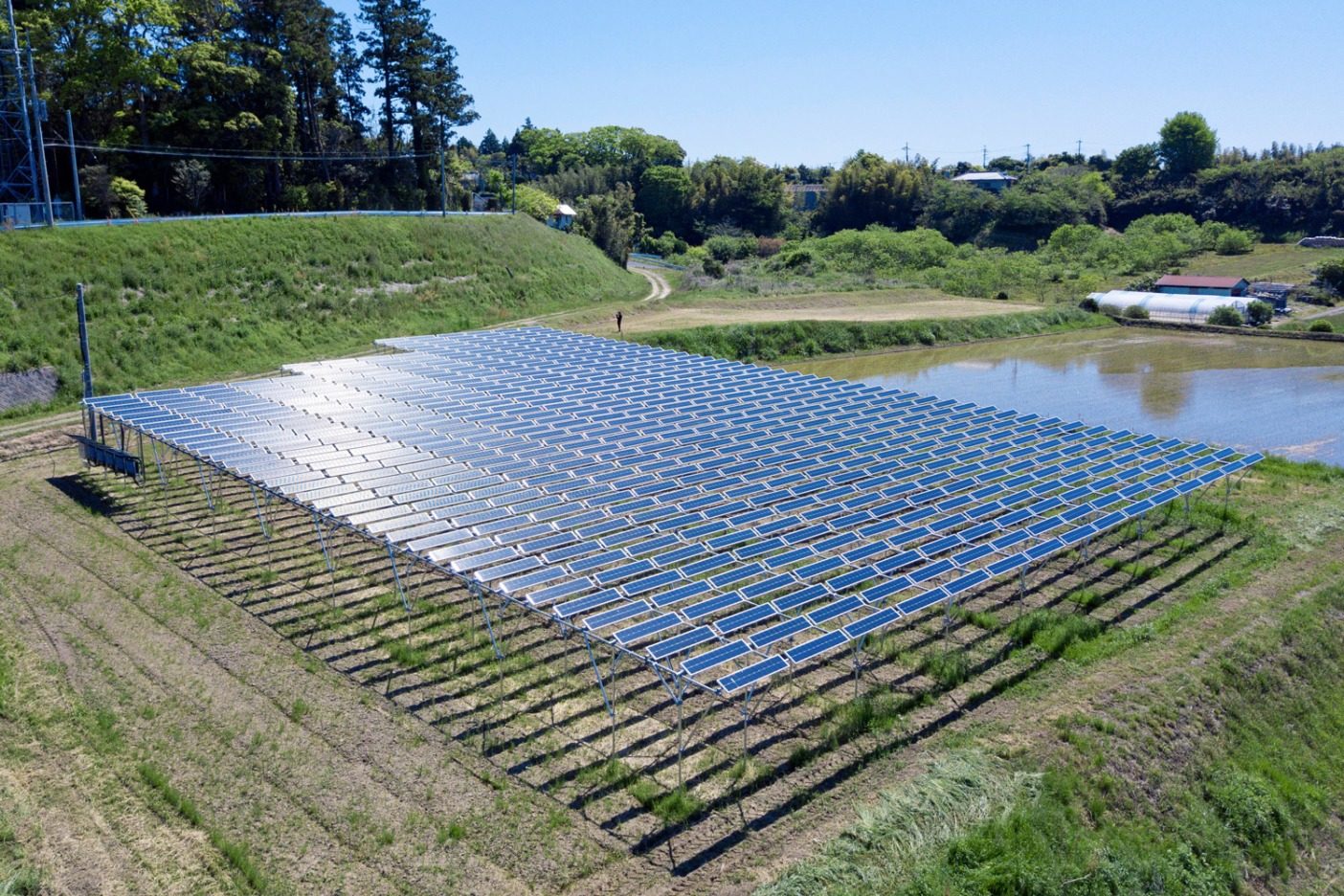 ネットゼロを達成するには、千葉県にあるこのプロジェクトに投資するなど、排出量を穴埋めしなければならない。ソーラー・シェアリングでは、農家は作物を栽培すると同時に太陽エネルギーを活用することができる。写真:パタゴニア日本支社
