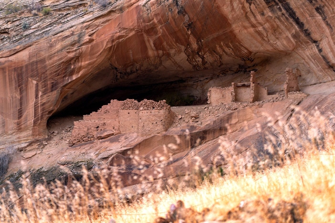 ベアーズ・イヤーズの古代の居住地。これらの家は冬の太陽からの恩恵を最大に得られるよう、典型的に南面に建てられた。Photo: Michael Estrada