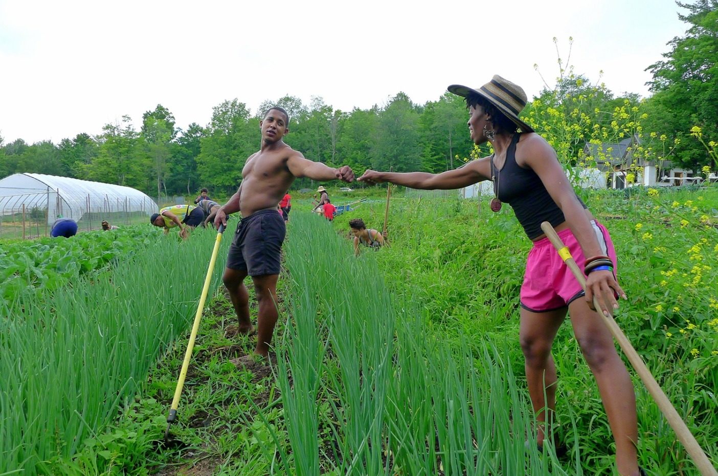 土地における解放 Farming While Black 黒人でありながらの農業 の著者リア ペニマンとの対談 クリーネストライン