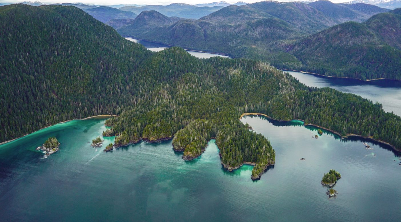 春のニシンの産卵によって染まるシトカ湾の島々の沿海。Photo:Lee House