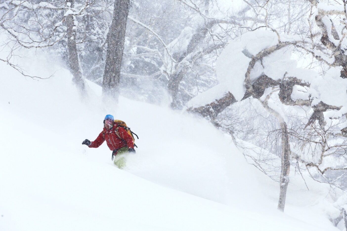北大雪エリアの日常 写真:大塚伸