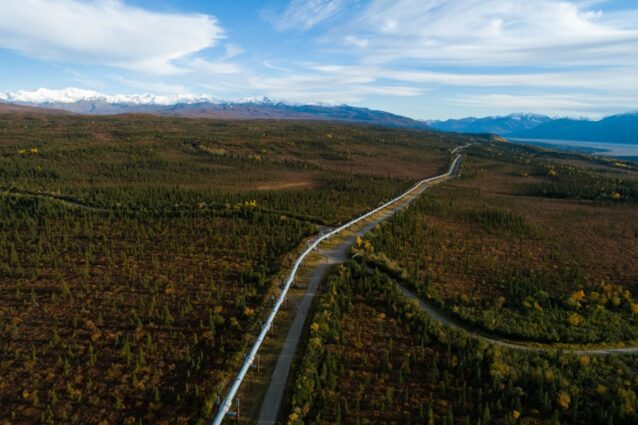 トランス・アラスカ・パイプラインはプルドー湾からアラスカのバルディーズへと石油を運ぶ1,280キロのパイプラインだ。アメリカで最も豊かな州のひとつであるアラスカは、州の歳出をたったひとつの産業、石油とガスに依存する。共和党は何十年も北極圏国立野生生物保護区を石油とガス開発に解放しようと提案してきた。その可能性が近づくたびに、それは民主党、あるいはクリントン大統領によって拒否されてきた。2017年、アラスカ州代議員のリサ・マコウスキーは、トランプ元大統領が制定させた税法に北極圏国立野生生物保護区の産業開発への解放を忍びこませた。それ以来、開発を迅速に進めるために積極的な措置が講じられている。Photo:Keri Oberly