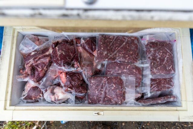 グウィッチャア・ジーの冬のあいだ家族を食べさせるカリブーとムースの肉でいっぱいの冷凍庫。Photo:Keri Oberly