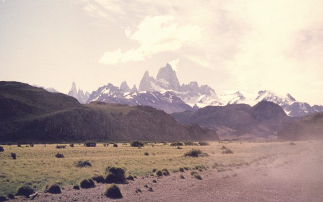 食料品 Archives クリーネストライン