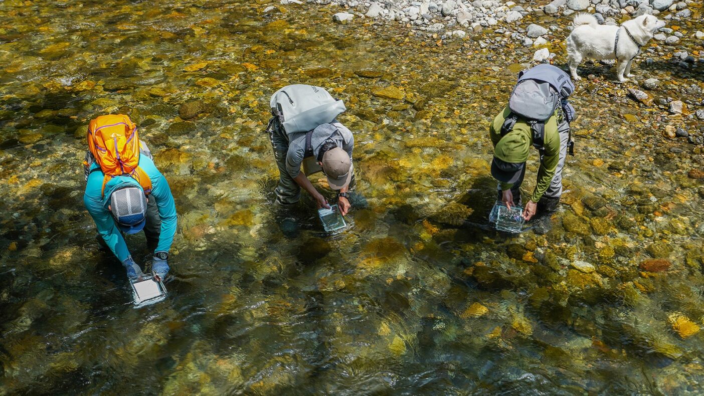 箱メガネを利用して水中を観察するパタゴニア社のスタッフ。少年時代の好奇心がよみがえる瞬間。写真:奥本 昌夫