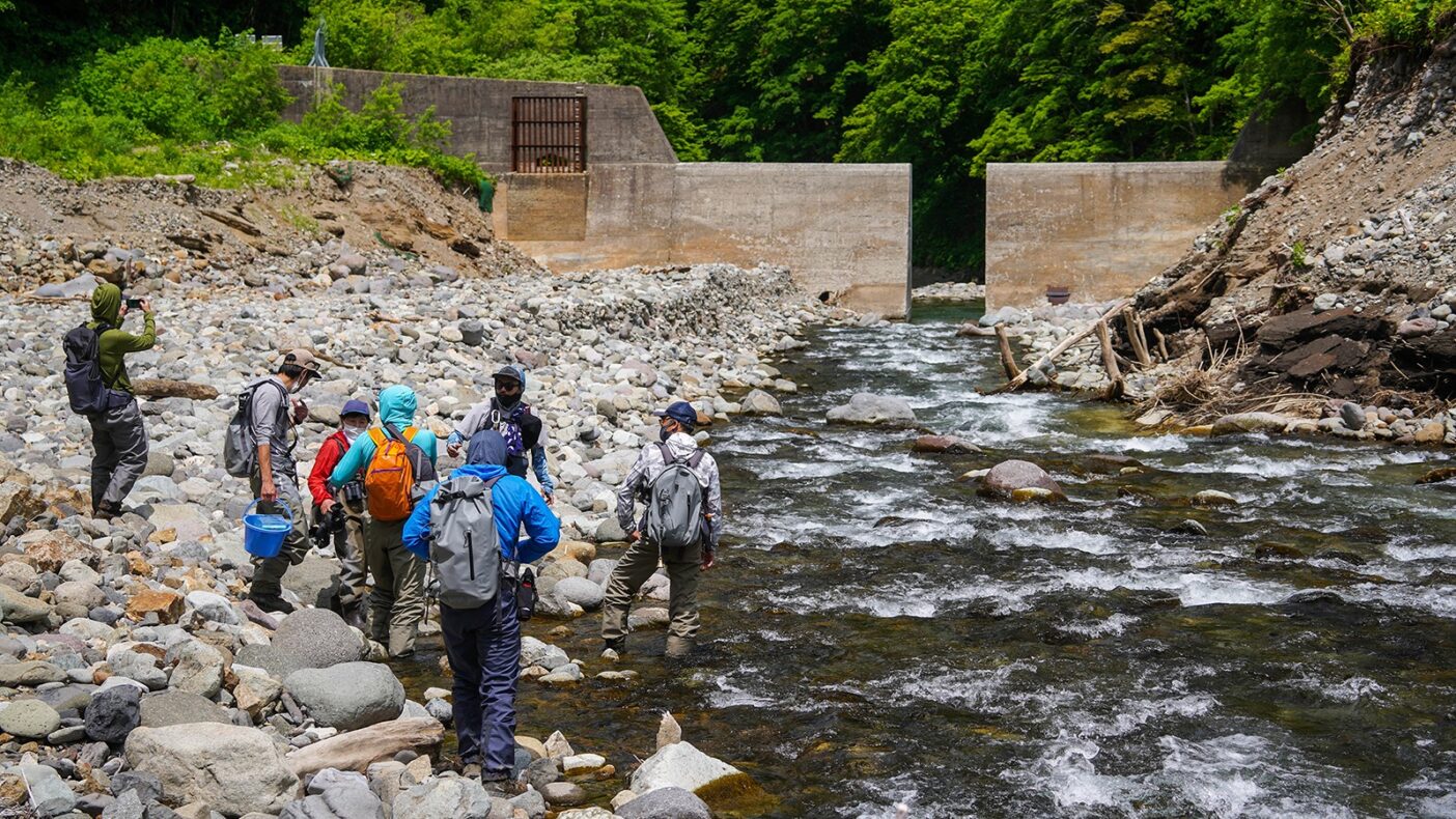生きものたちの大切な通り道として機能するスリット。たったこれだけの処理で、河川を囲む生態系は劇的に変化する。写真:奥本 昌夫