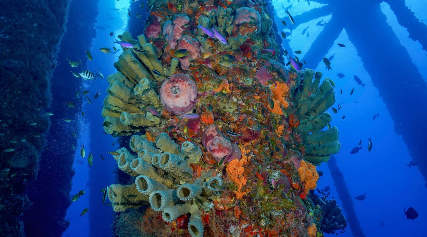テキサス州沖フラワーガーデン・バンク米国海洋保護区内の稼働を停止したガス・プラットフォーム。Photo : Jesse Cancelmo