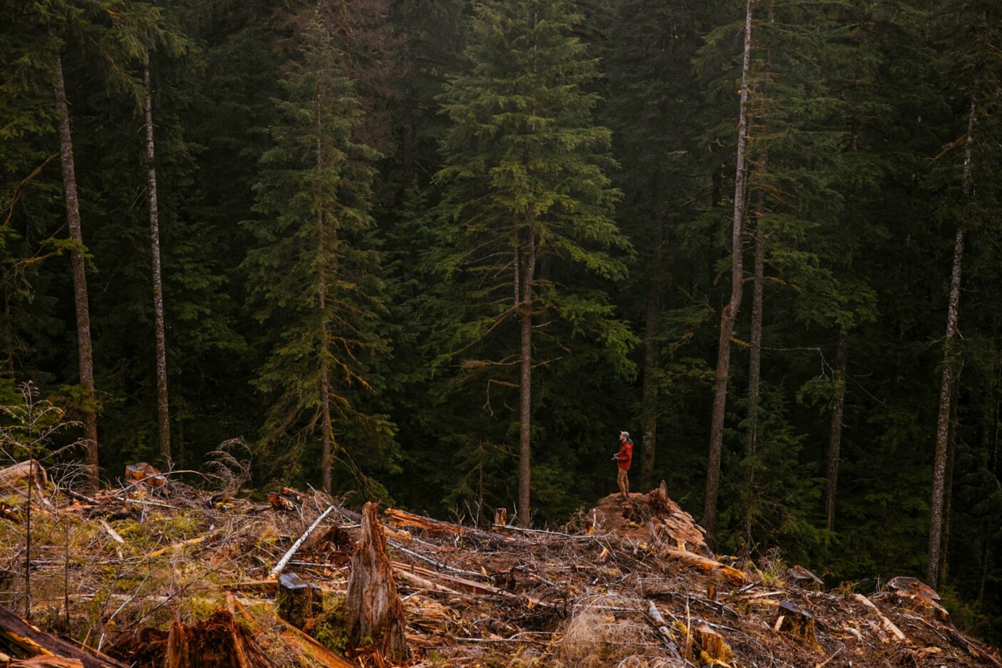 Photo: Jeremy Koreski
